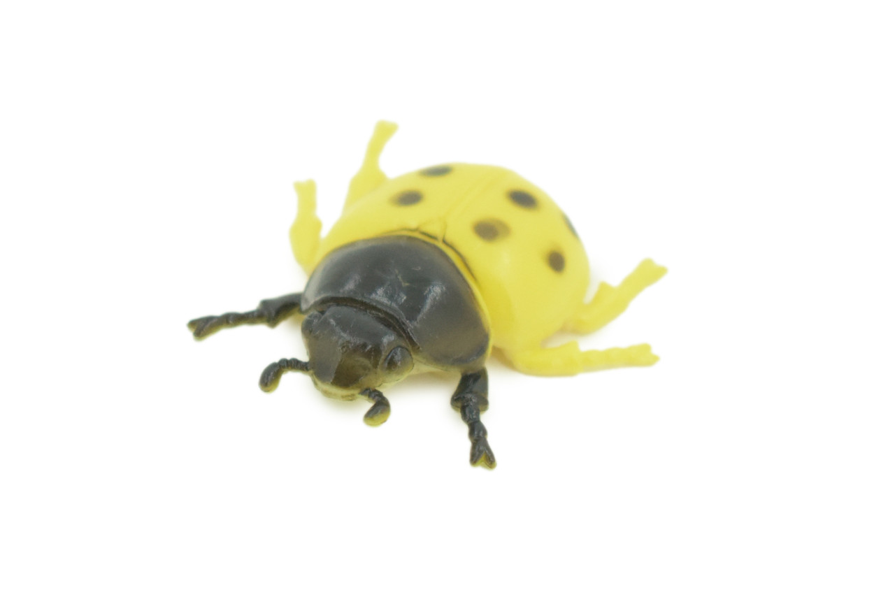 Ladybug, Beetle, Yellow, Very Nice Rubber Insect, Educational, Realistic Hand Painted, Figure, Lifelike Model, Figurine, Replica, Gift, 1 1/2" US20 B44