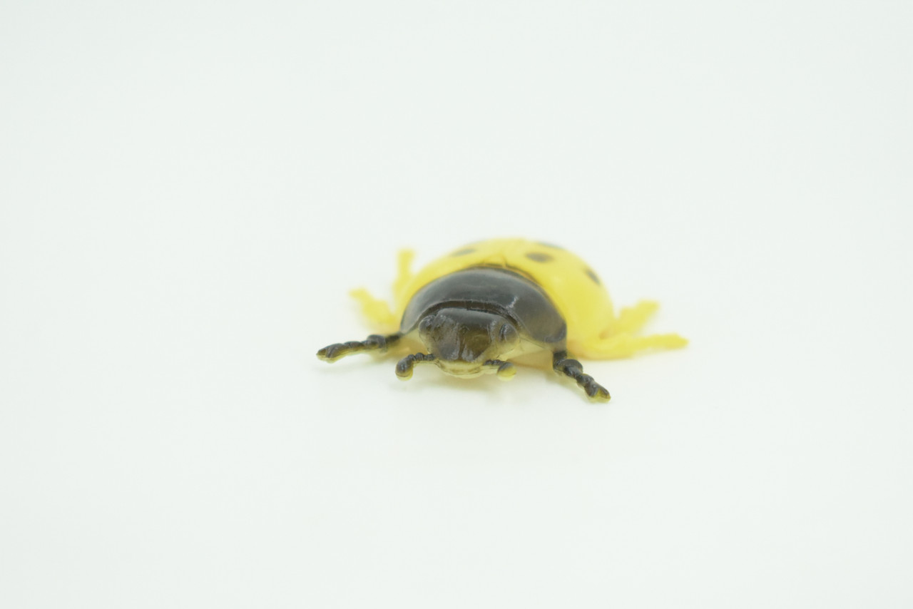 Ladybug, Beetle, Yellow, Very Nice Rubber Insect, Educational, Realistic Hand Painted, Figure, Lifelike Model, Figurine, Replica, Gift,    1 1/2"   US20 B44
