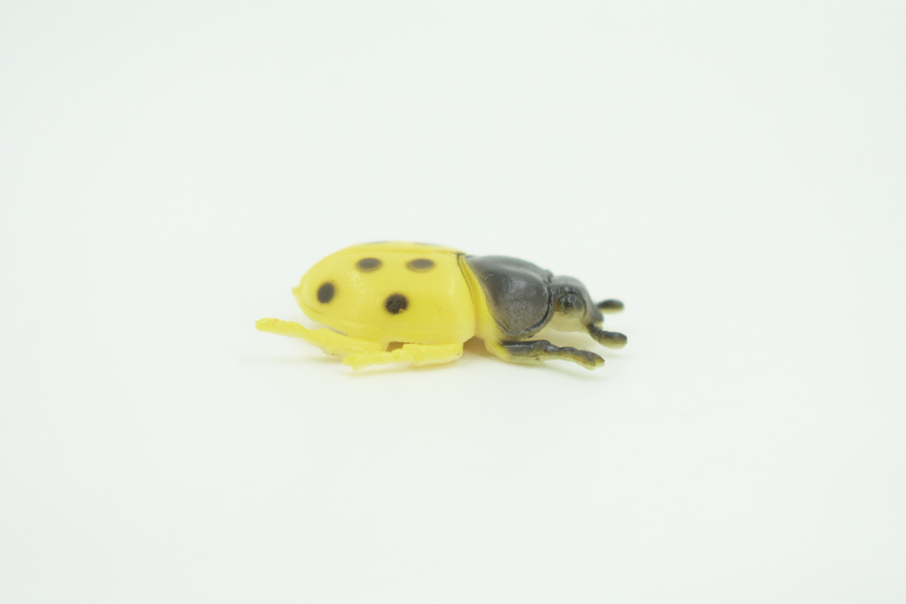 Ladybug, Beetle, Yellow, Very Nice Rubber Insect, Educational, Realistic Hand Painted, Figure, Lifelike Model, Figurine, Replica, Gift,    1 1/2"   US20 B44