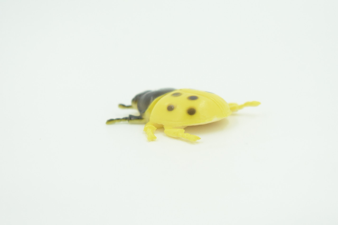 Ladybug, Beetle, Yellow, Very Nice Rubber Insect, Educational, Realistic Hand Painted, Figure, Lifelike Model, Figurine, Replica, Gift,    1 1/2"   US20 B44