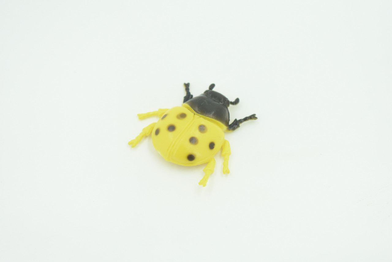 Ladybug, Beetle, Yellow, Very Nice Rubber Insect, Educational, Realistic Hand Painted, Figure, Lifelike Model, Figurine, Replica, Gift,    1 1/2"   US20 B44