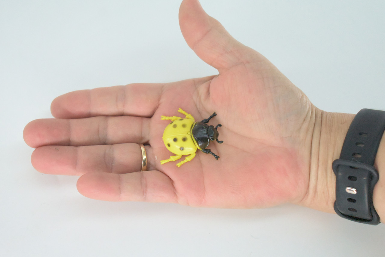 Ladybug, Beetle, Yellow, Very Nice Rubber Insect, Educational, Realistic Hand Painted, Figure, Lifelike Model, Figurine, Replica, Gift,    1 1/2"   US20 B44