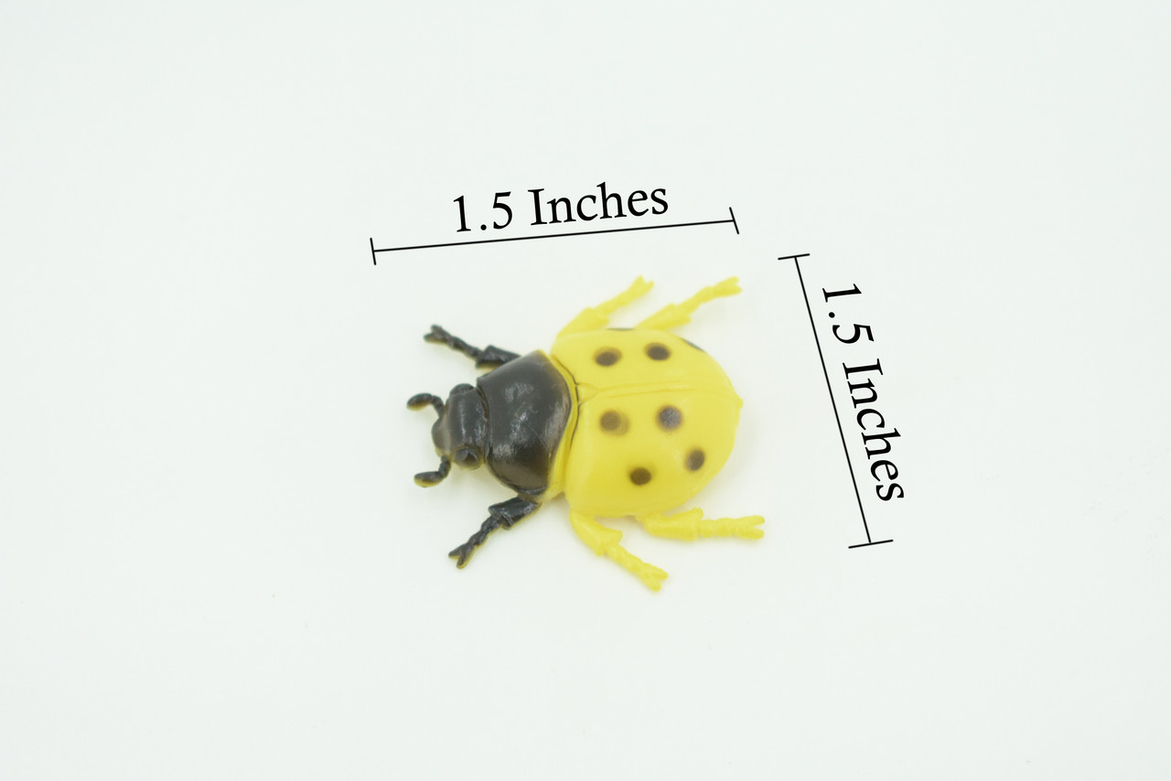 Ladybug, Beetle, Yellow, Very Nice Rubber Insect, Educational, Realistic Hand Painted, Figure, Lifelike Model, Figurine, Replica, Gift,    1 1/2"   US20 B44