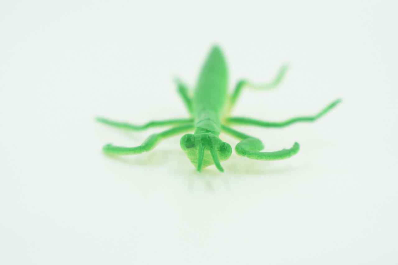 Praying Mantis, Very Nice Rubber Insect, Educational, Realistic Hand Painted, Figure, Lifelike Model, Figurine, Replica, Gift,     3"   US21 B44