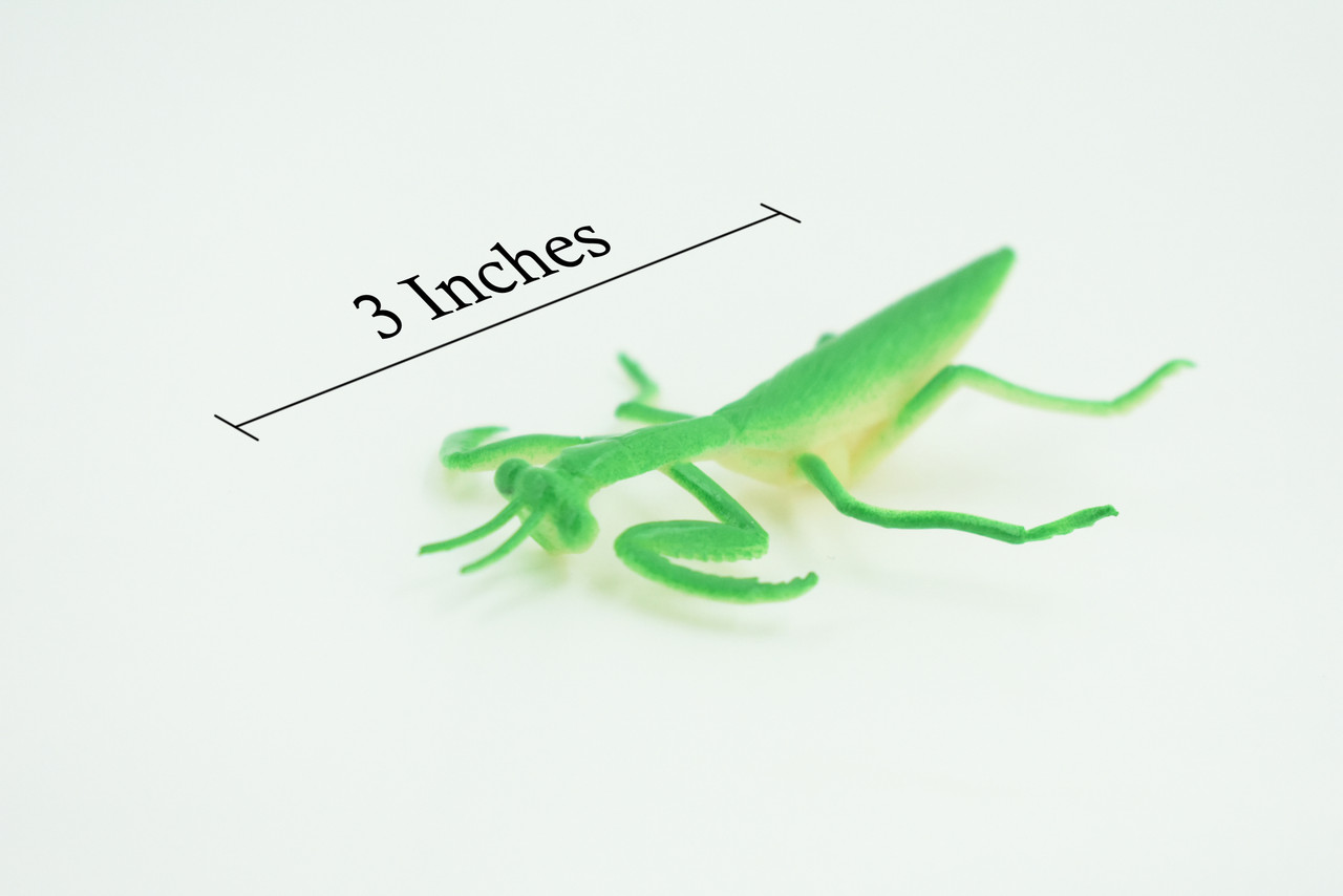 Praying Mantis, Very Nice Rubber Insect, Educational, Realistic Hand Painted, Figure, Lifelike Model, Figurine, Replica, Gift,     3"   US21 B44