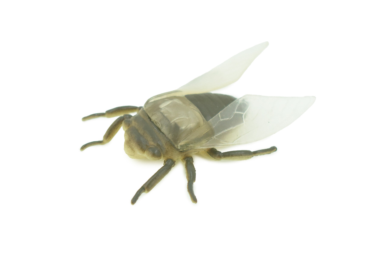 Fly, Houseflies, Very Nice Rubber Insect, Educational, Realistic Hand Painted, Figure, Lifelike Model, Figurine, Replica, Gift, 2" US22 B44