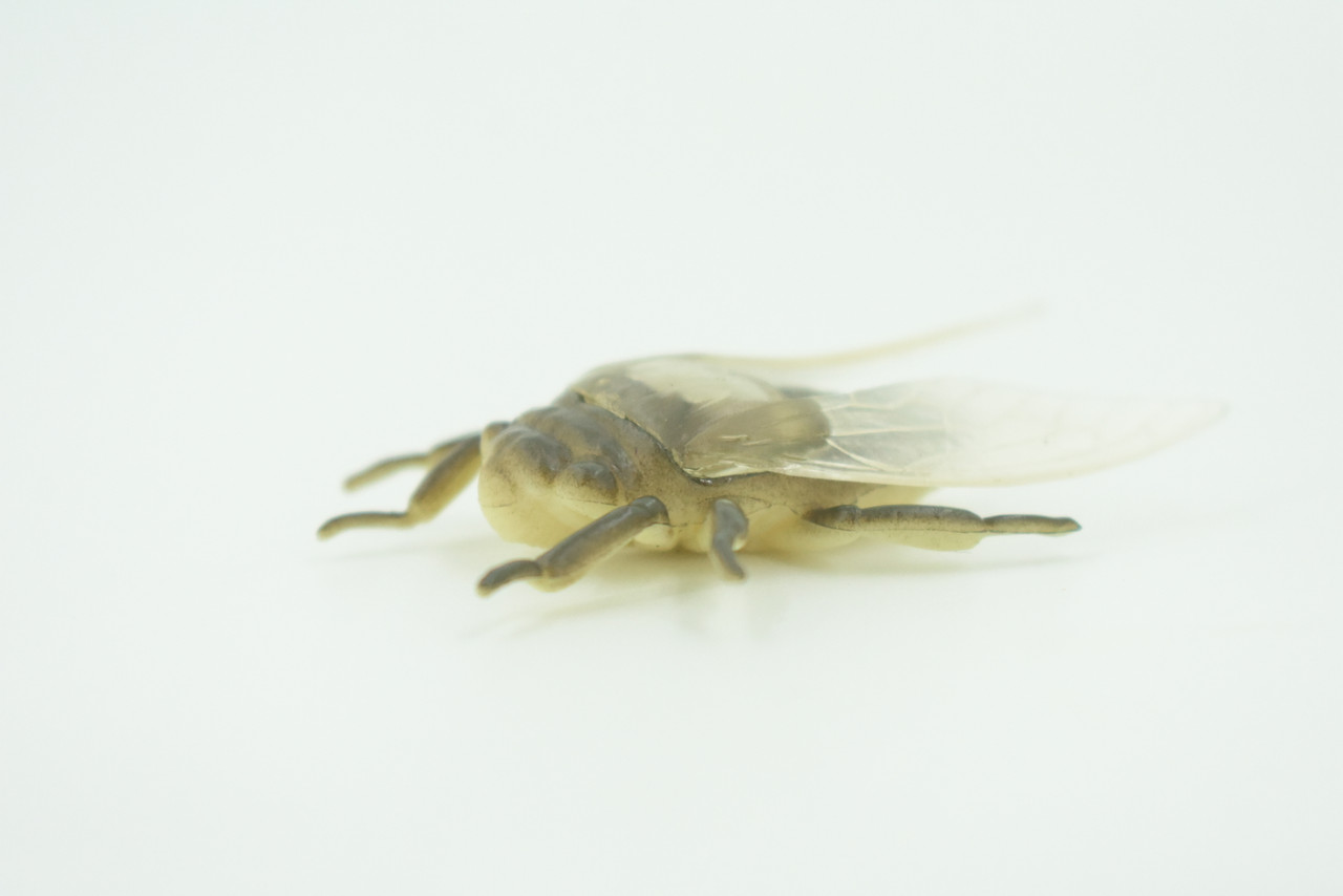 Fly, Houseflies, Very Nice Rubber Insect, Educational, Realistic Hand Painted, Figure, Lifelike Model, Figurine, Replica, Gift,     2"   US22 B44