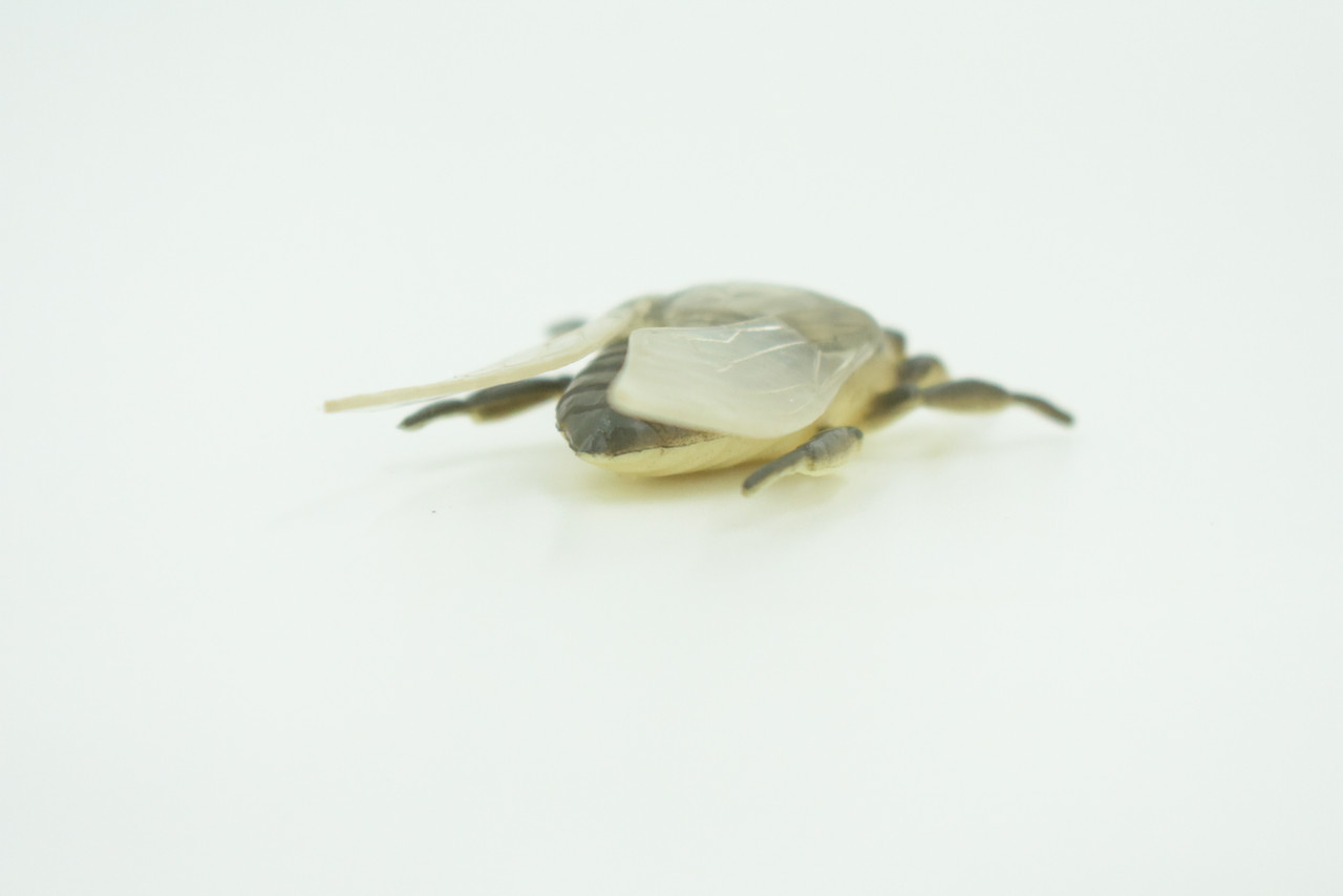 Fly, Houseflies, Very Nice Rubber Insect, Educational, Realistic Hand Painted, Figure, Lifelike Model, Figurine, Replica, Gift,     2"   US22 B44