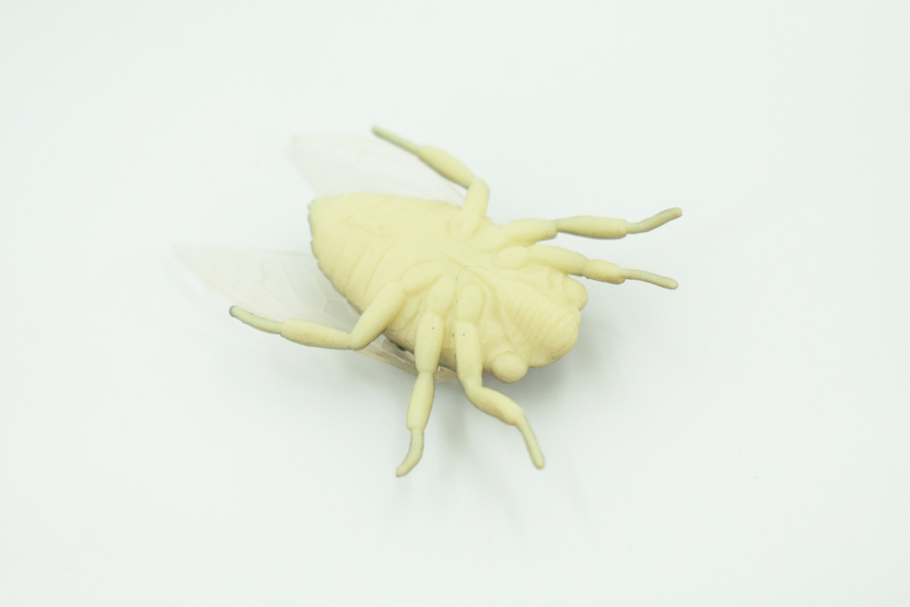 Fly, Houseflies, Very Nice Rubber Insect, Educational, Realistic Hand Painted, Figure, Lifelike Model, Figurine, Replica, Gift,     2"   US22 B44