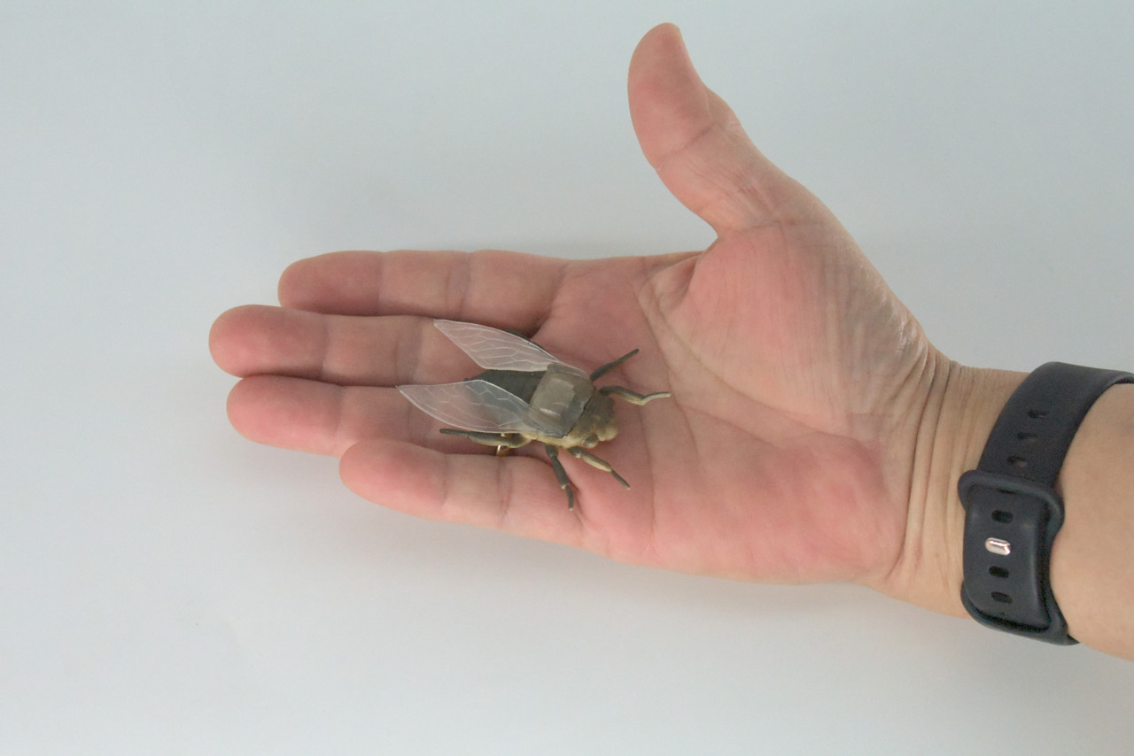 Fly, Houseflies, Very Nice Rubber Insect, Educational, Realistic Hand Painted, Figure, Lifelike Model, Figurine, Replica, Gift,     2"   US22 B44