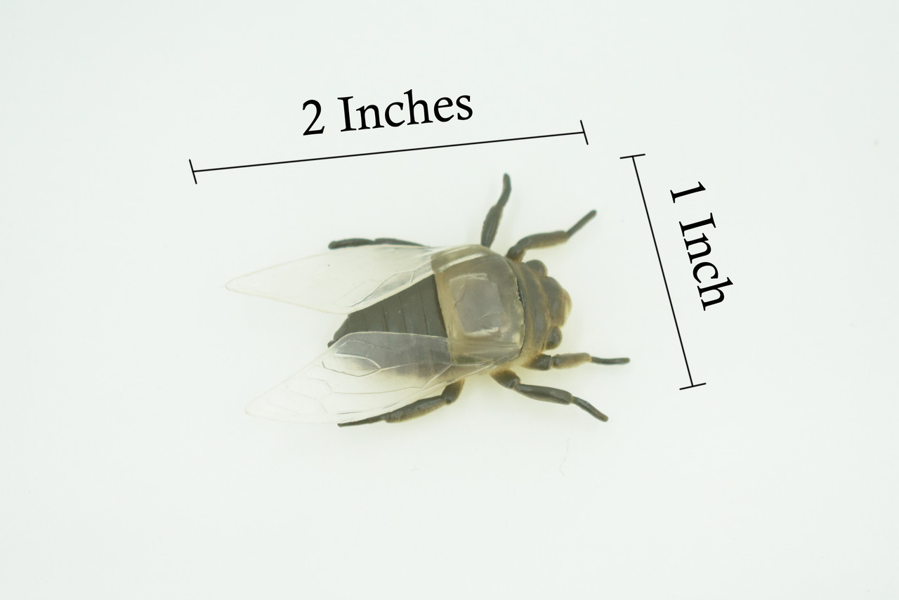Fly, Houseflies, Very Nice Rubber Insect, Educational, Realistic Hand Painted, Figure, Lifelike Model, Figurine, Replica, Gift,     2"   US22 B44