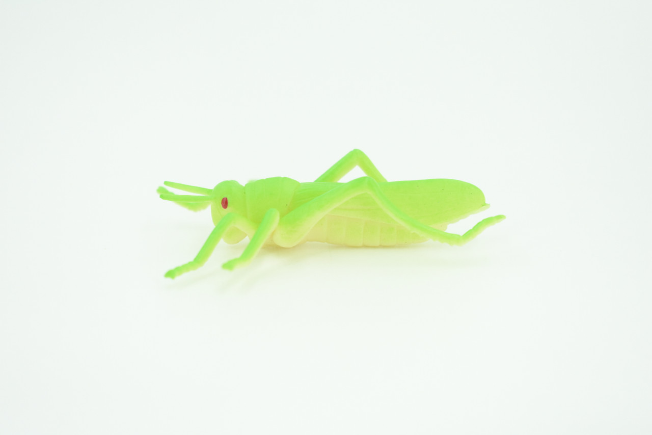 Grasshopper, Very Nice Rubber Insect, Educational, Realistic Hand Painted, Figure, Lifelike Model, Figurine, Replica, Gift,     2 1/2"   US23 B44