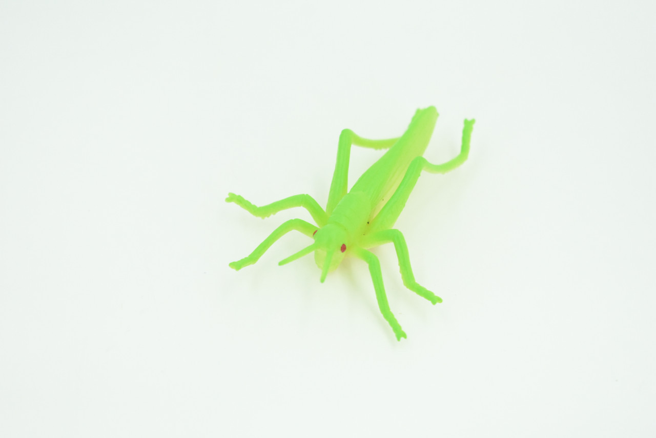Grasshopper, Very Nice Rubber Insect, Educational, Realistic Hand Painted, Figure, Lifelike Model, Figurine, Replica, Gift,     2 1/2"   US23 B44