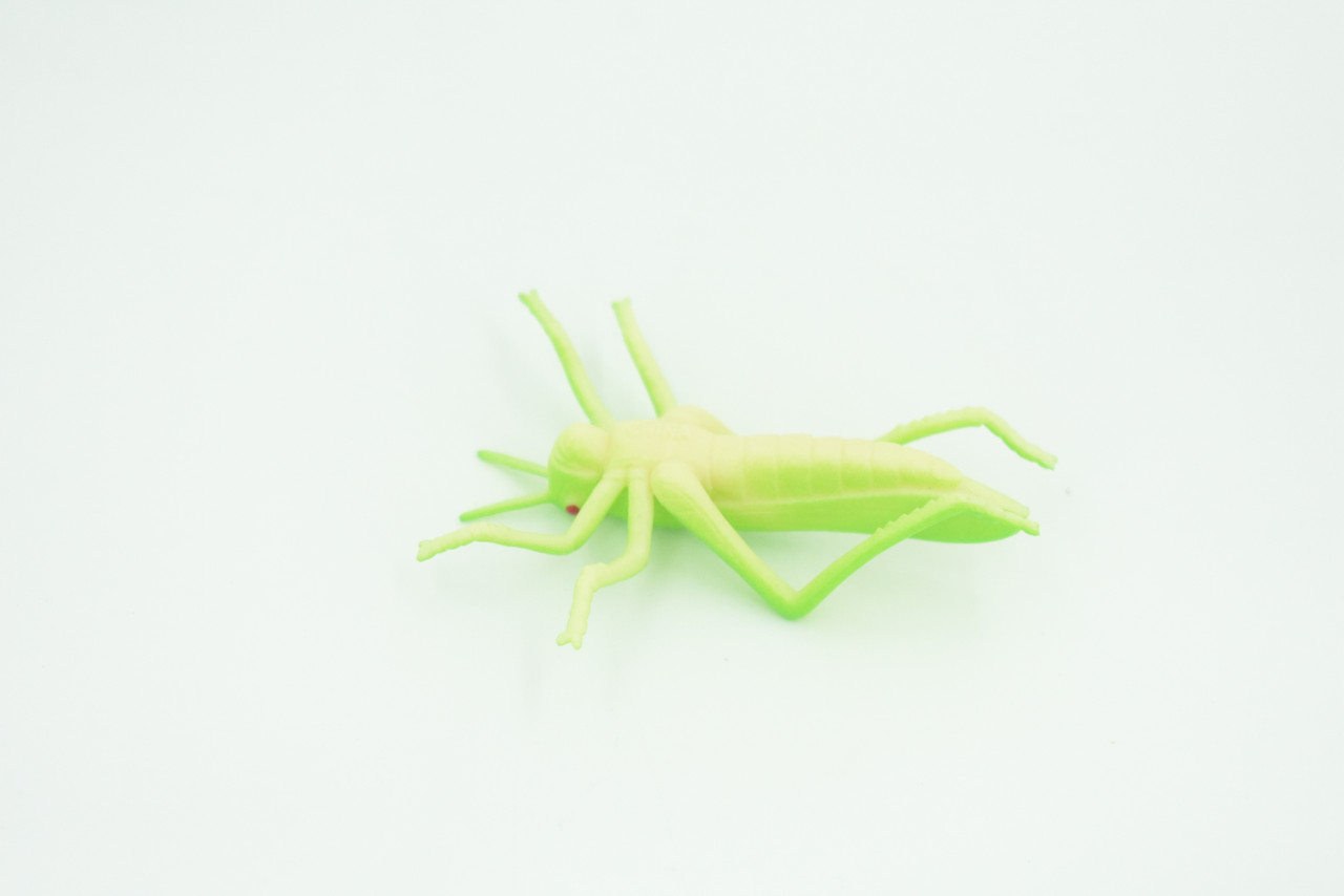 Grasshopper, Very Nice Rubber Insect, Educational, Realistic Hand Painted, Figure, Lifelike Model, Figurine, Replica, Gift,     2 1/2"   US23 B44