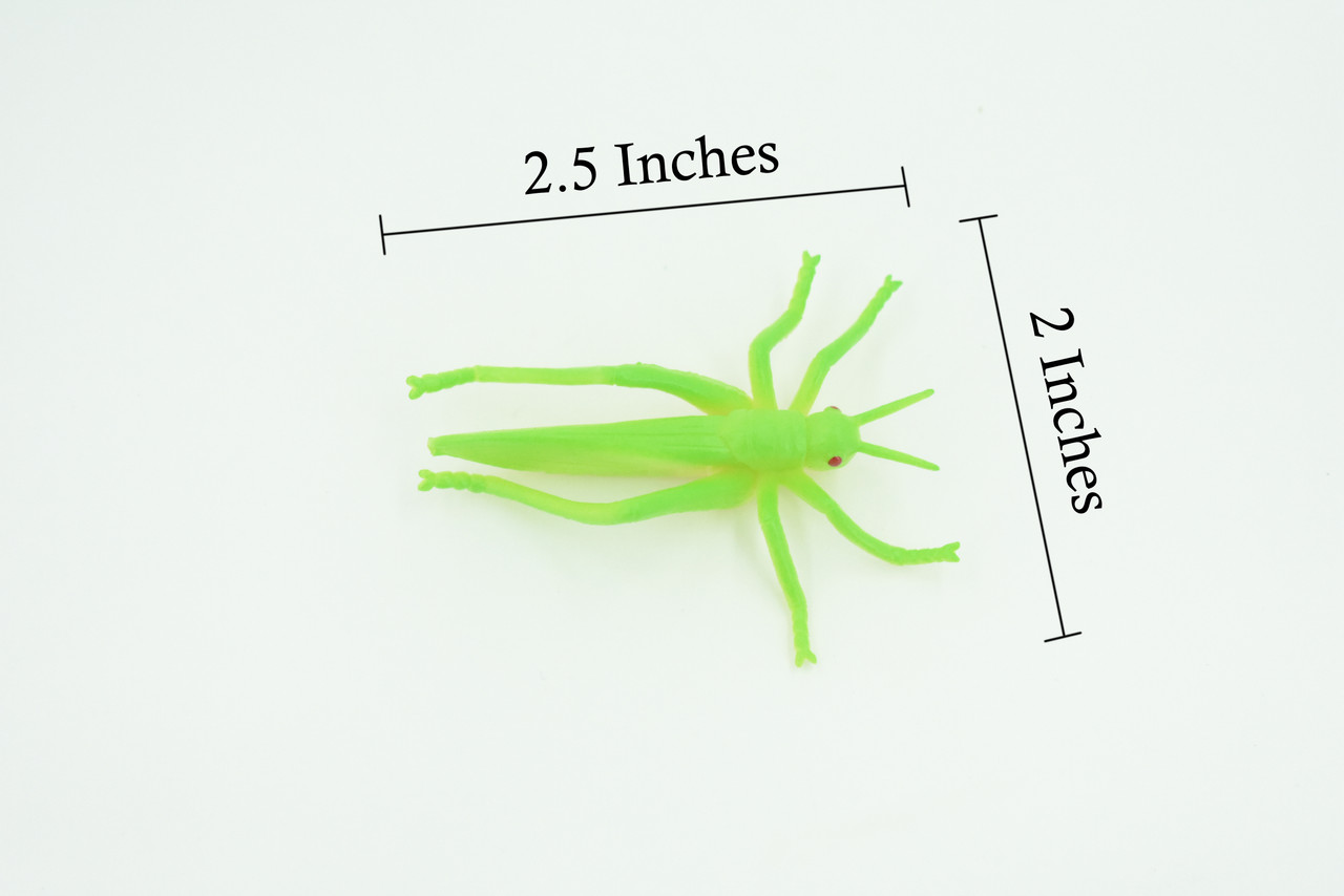 Grasshopper, Very Nice Rubber Insect, Educational, Realistic Hand Painted, Figure, Lifelike Model, Figurine, Replica, Gift,     2 1/2"   US23 B44