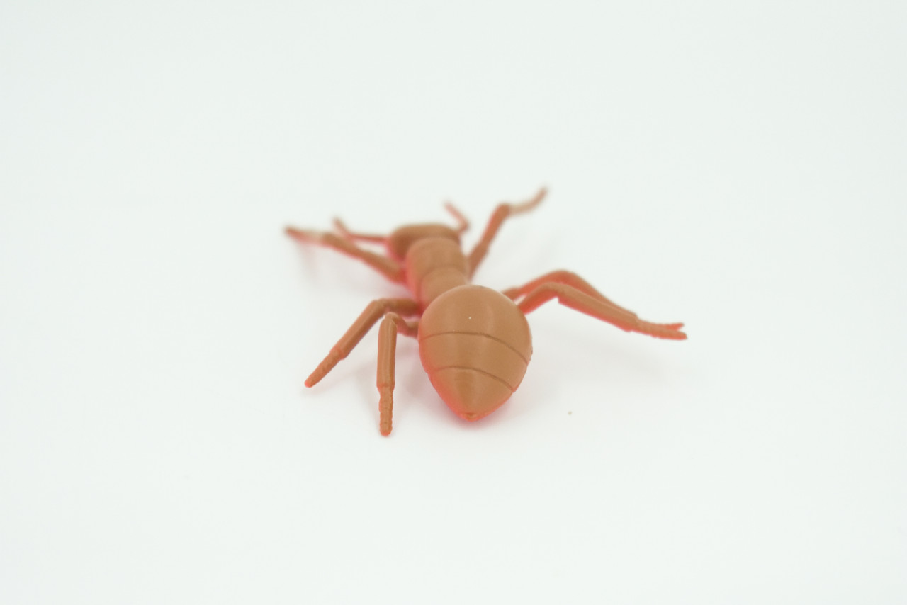 Red Ant, Very Nice Rubber Insect, Educational, Realistic Hand Painted, Figure, Lifelike Model, Figurine, Replica, Gift,     2"   US24 B44