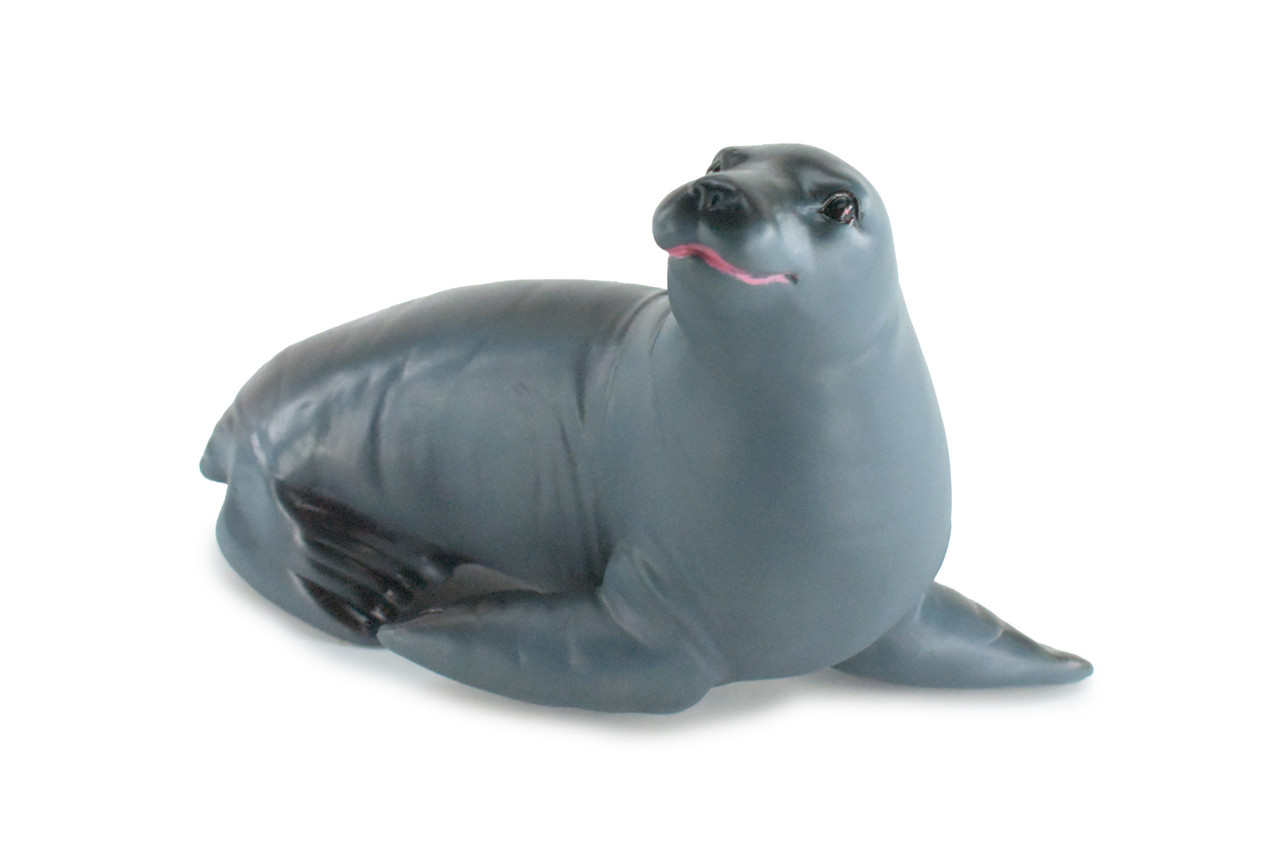 Seal, High Quality, Soft Rubber Pinniped, Hand Painted, Realistic, Toy Figure, Model, Replica, Kids, Educational, Gift,     10"   IM08 B655