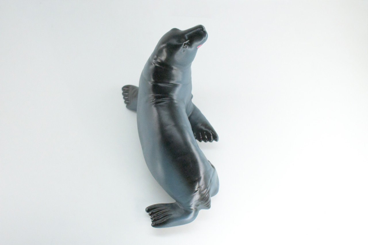 Seal, High Quality, Soft Rubber Pinniped, Hand Painted, Realistic, Toy Figure, Model, Replica, Kids, Educational, Gift,     10"   IM08 B655