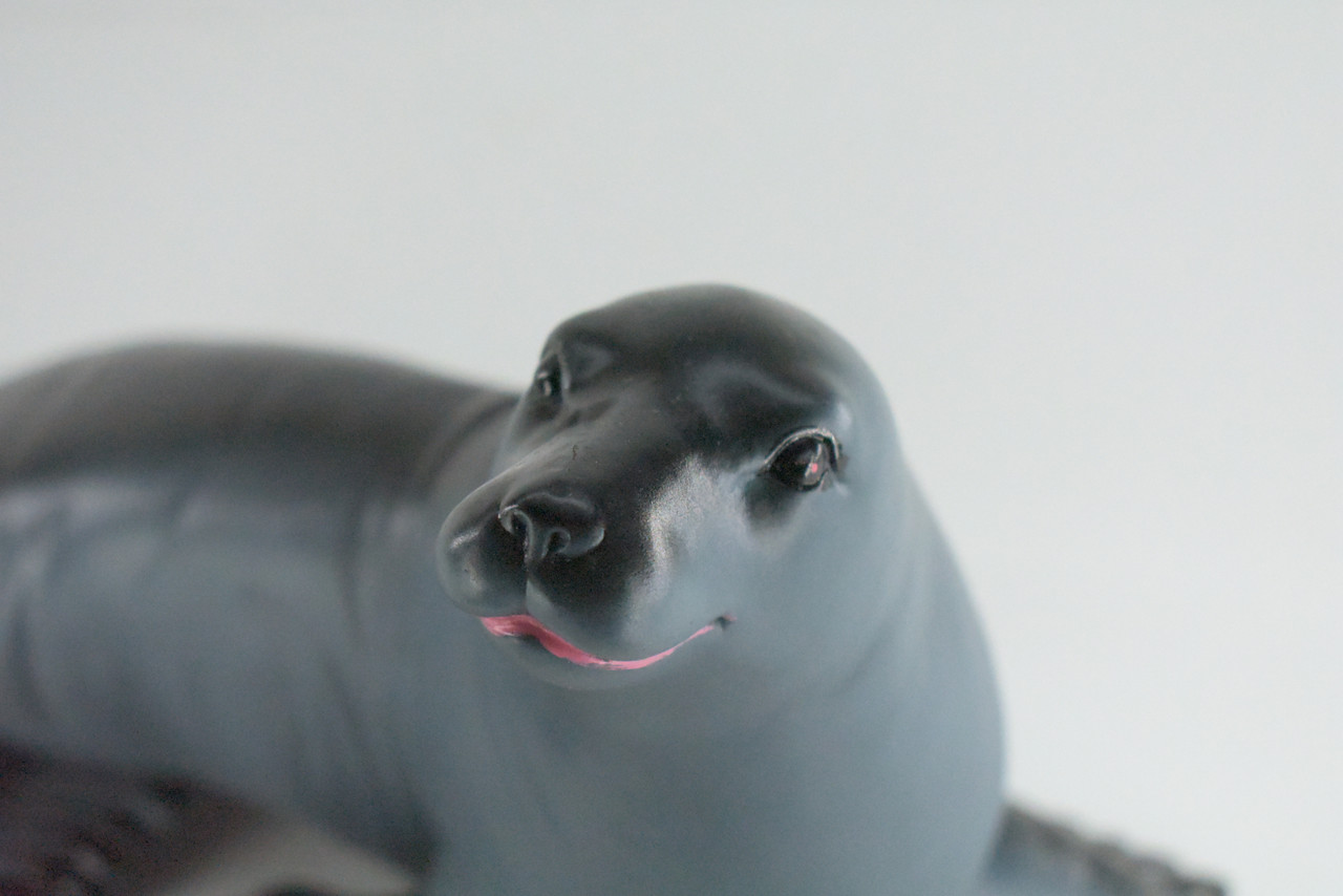 Seal, High Quality, Soft Rubber Pinniped, Hand Painted, Realistic, Toy Figure, Model, Replica, Kids, Educational, Gift,     10"   IM08 B655