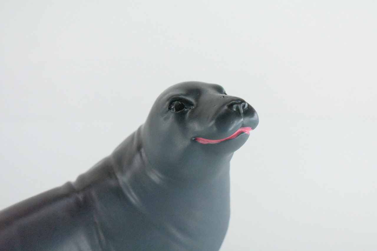 Seal, High Quality, Soft Rubber Pinniped, Hand Painted, Realistic, Toy Figure, Model, Replica, Kids, Educational, Gift,     10"   IM08 B655