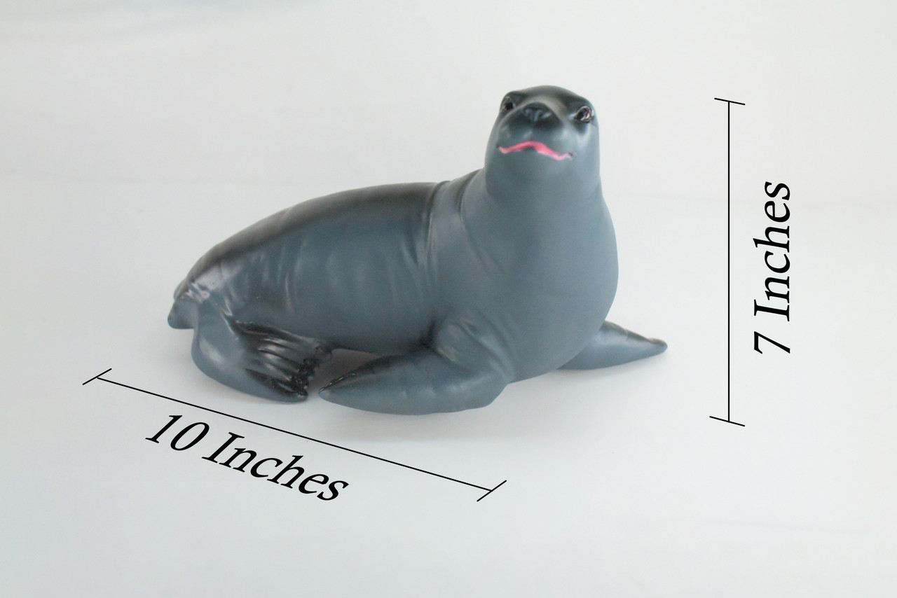 Seal, High Quality, Soft Rubber Pinniped, Hand Painted, Realistic, Toy Figure, Model, Replica, Kids, Educational, Gift,     10"   IM08 B655