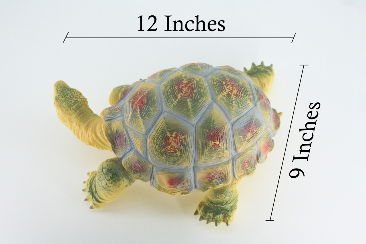 Tortoise, High Quality, Soft Rubber Turtle, Hand Painted, Realistic Reptile, Toy Figure, Model, Replica, Kids, Educational, Gift,     12"   IM09 B655