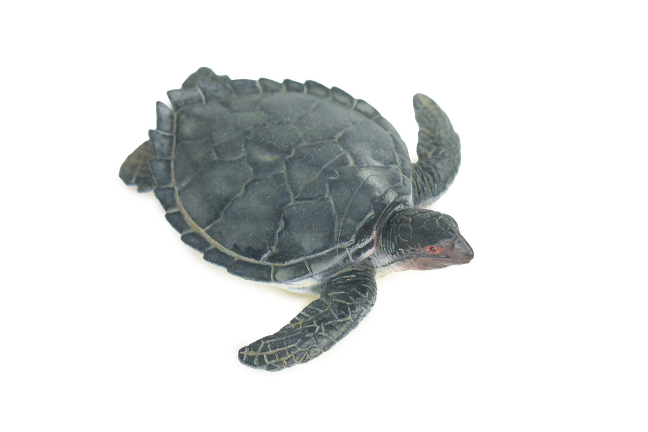 Sea Turtle, High Quality, Hard Rubber Turtle, Hand Painted, Realistic Reptile, Toy Figure, Model, Replica, Kids, Educational, Gift, 3 1/2" IM10 B657