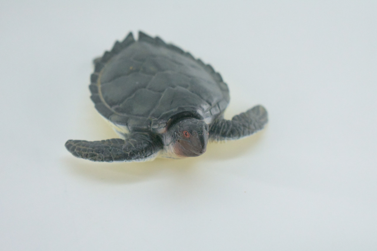 Green Sea Turtle, High Quality, Hard Rubber Turtle, Realistic Reptile, Hand Painted, Educational, Realistic, Diorama Figure, Model, Replica, Toy, Gift,  3 1/2 Inches.