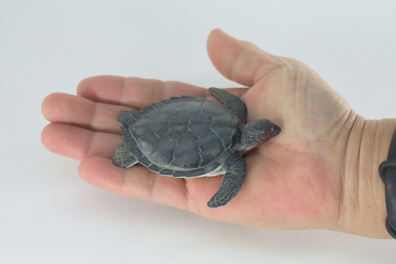Green Sea Turtle, High Quality, Hard Rubber Turtle, Realistic Reptile, Hand Painted, Educational, Realistic, Diorama Figure, Model, Replica, Toy, Gift,  3 1/2 Inches.