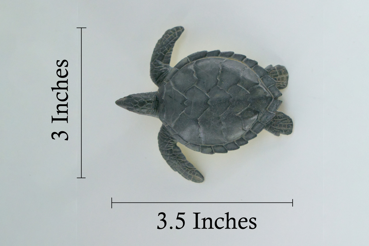 Green Sea Turtle, High Quality, Hard Rubber Turtle, Realistic Reptile, Hand Painted, Educational, Realistic, Diorama Figure, Model, Replica, Toy, Gift,  3 1/2 Inches.