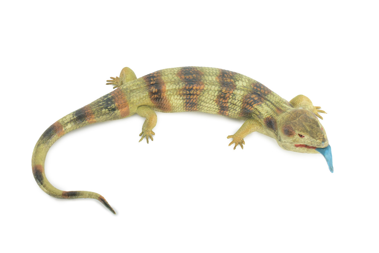 Blue Tongue Skink, High Quality, Hard Rubber Lizard, Hand Painted, Realistic Reptile, Toy Figure, Model, Replica, Kids, Educational, 15 Inches.