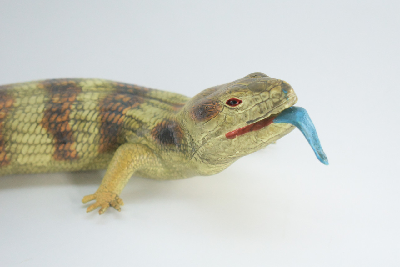 Blue Tongue Skink, High Quality, Hard Rubber Lizard, Hand Painted, Realistic Reptile, Toy Figure, Model, Replica, Kids, Educational, 15 Inches.