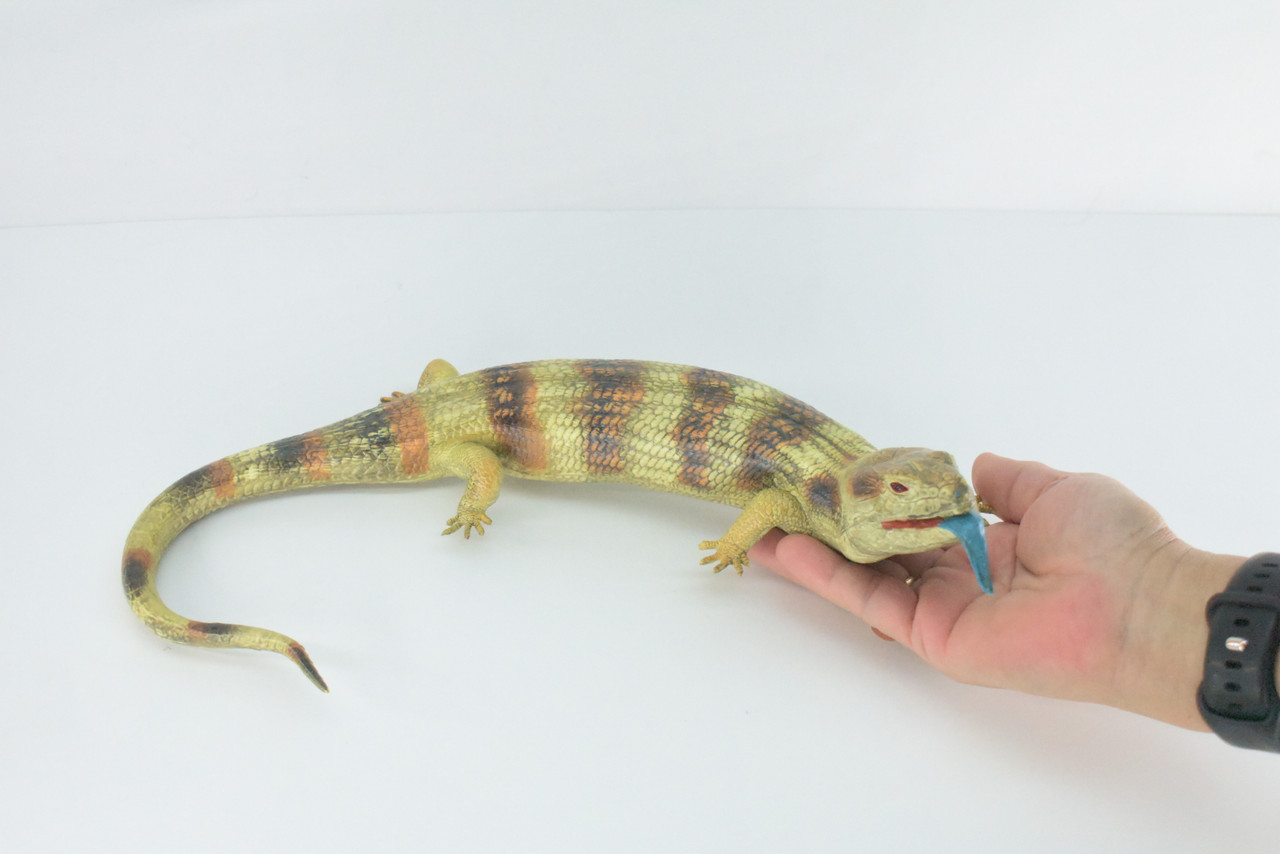 Blue Tongue Skink, High Quality, Hard Rubber Lizard, Hand Painted, Realistic Reptile, Toy Figure, Model, Replica, Kids, Educational, 15 Inches.