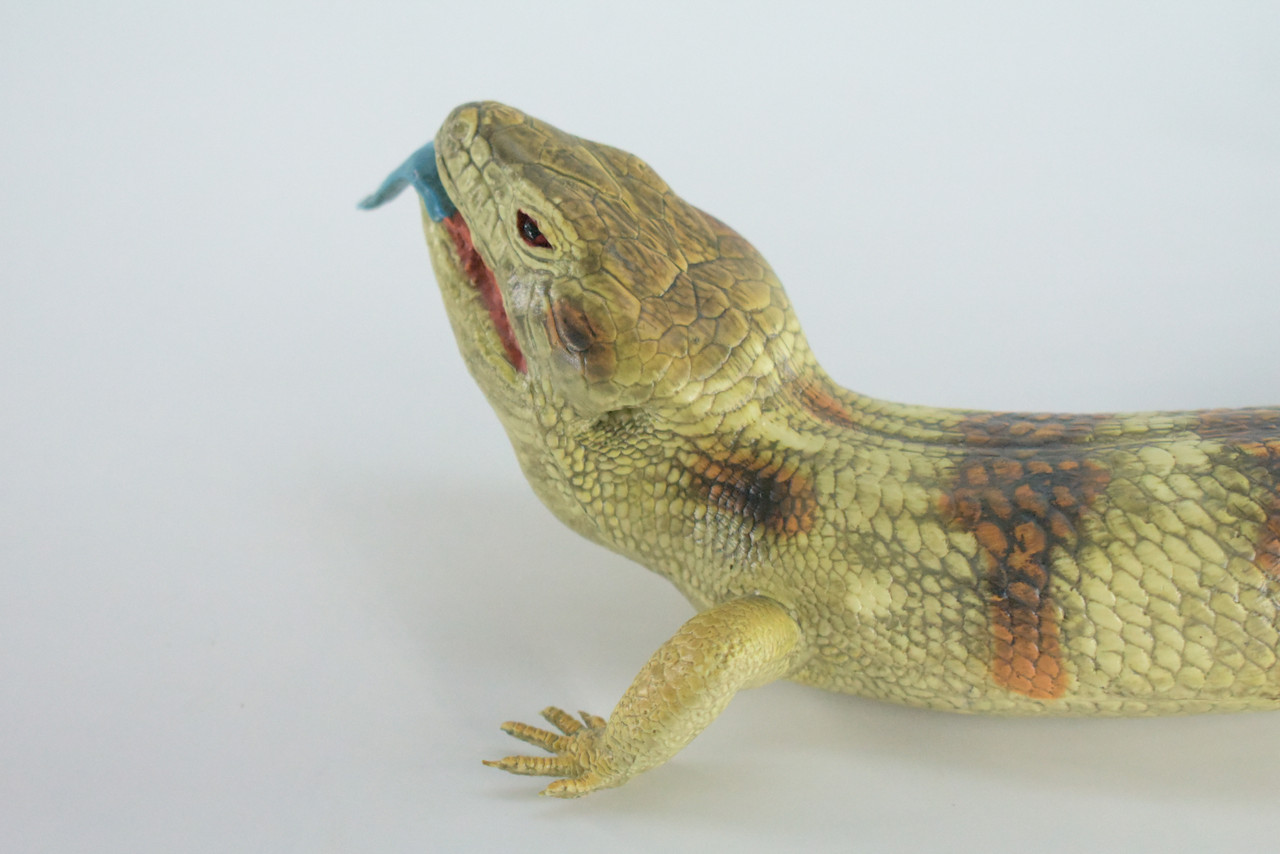 Blue Tongue Skink, High Quality, Hard Rubber Lizard, Hand Painted, Realistic Reptile, Toy Figure, Model, Replica, Kids, Educational, Gift,    15"   IM11 B657