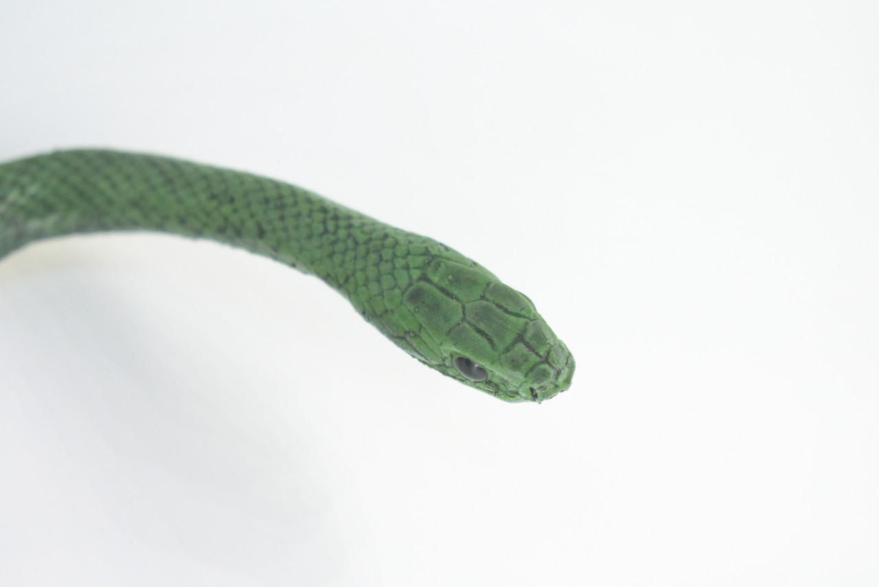 Rat Snake, Green, Hand Painted, High Quality, Hard Rubber Snake, Realistic Reptile, Toy Figure, Model, Replica, Kids, Educational, Gift,      17"   IM12 B657