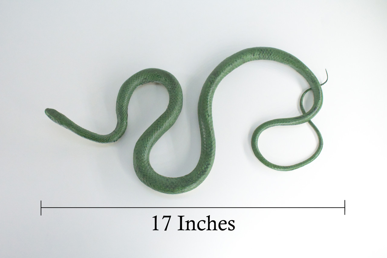 Rat Snake, Green, Hand Painted, High Quality, Hard Rubber Snake, Realistic Reptile, Toy Figure, Model, Replica, Kids, Educational, Gift,      17"   IM12 B657