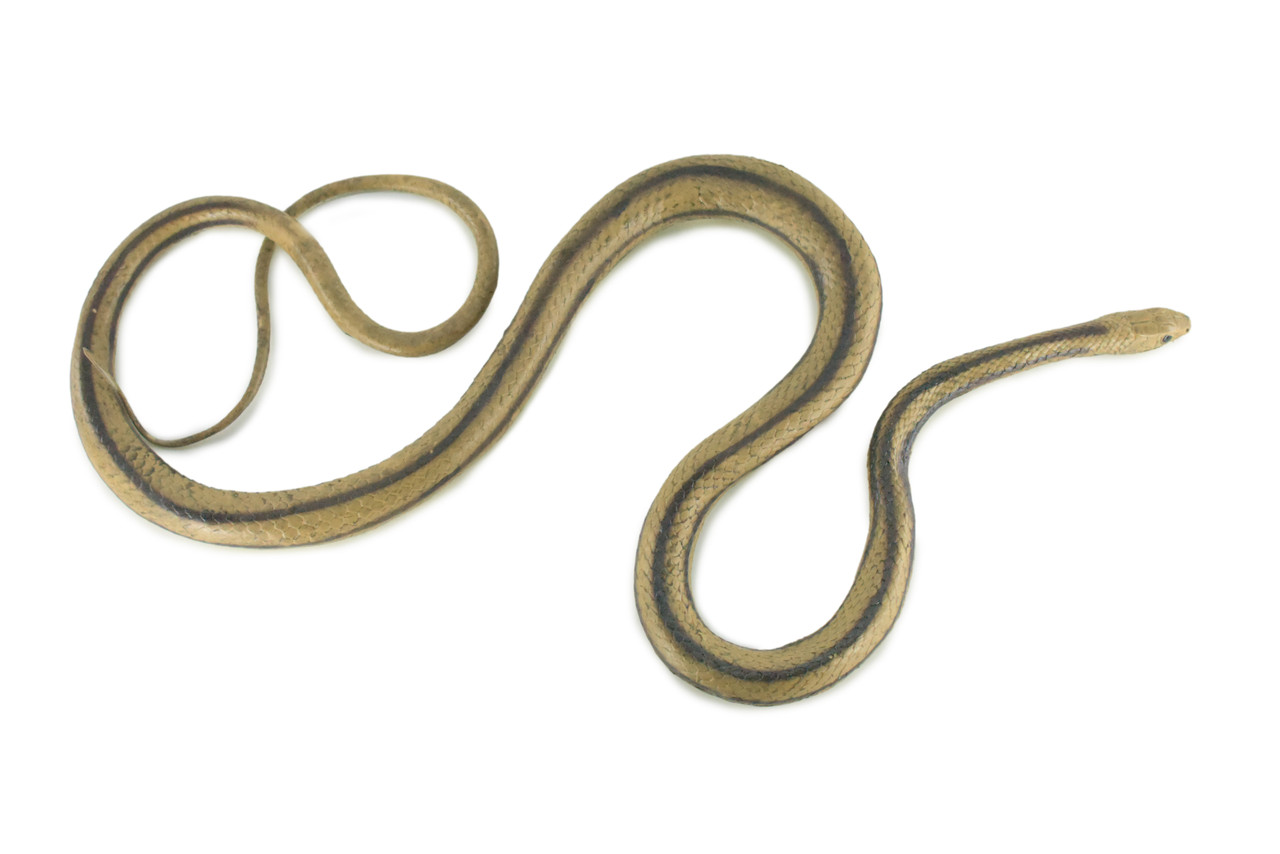 Rat Snake, Brown, Hand Painted, High Quality, Hard Rubber Snake, Realistic Reptile, Toy Figure, Model, Replica, Kids, Educational, Gift, 17" IM13 B657