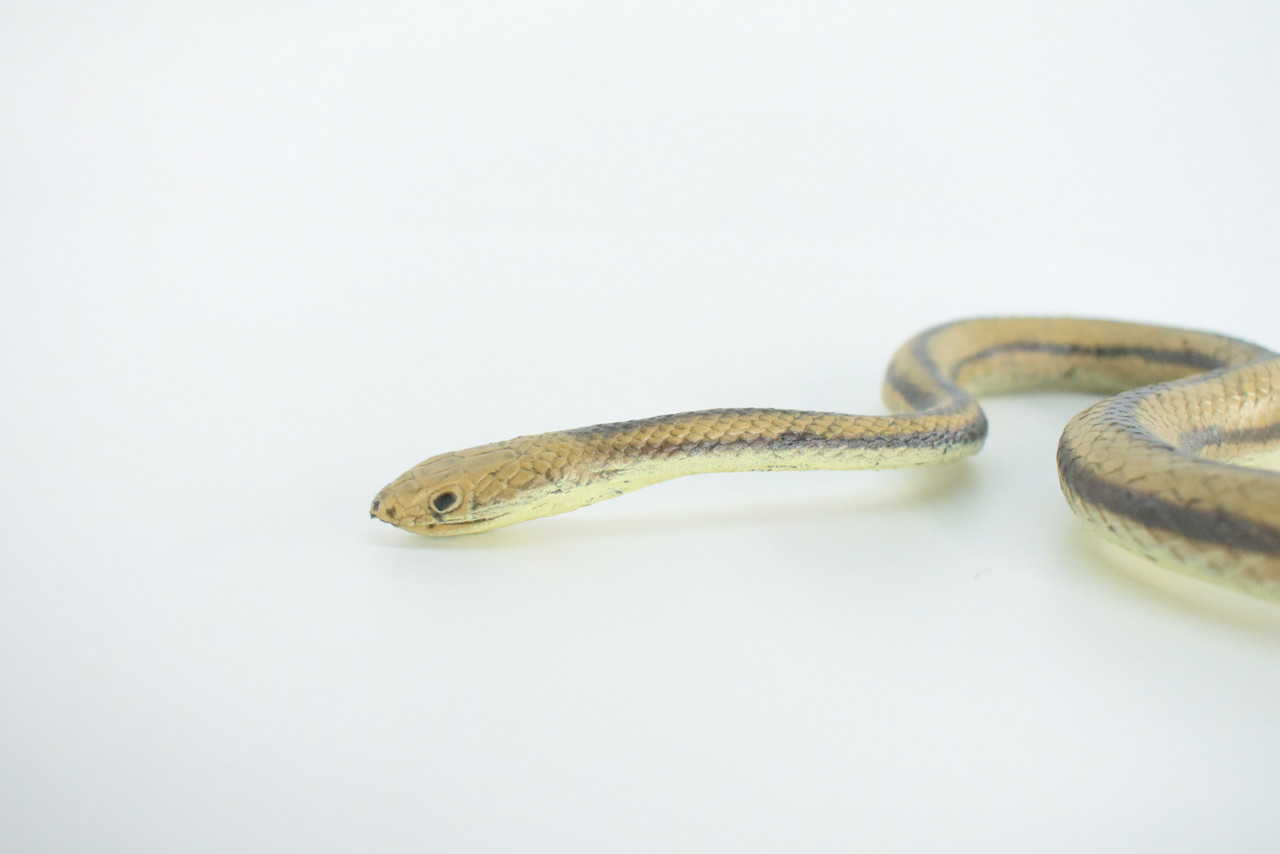 Rat Snake, Brown, Hand Painted, High Quality, Hard Rubber Snake, Realistic Reptile, Toy Figure, Model, Replica, Kids, Educational, Gift,      17"   IM13 B657