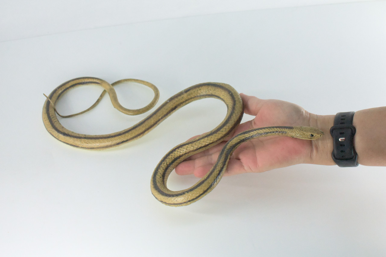 Rat Snake, Brown, Hand Painted, High Quality, Hard Rubber Snake, Realistic Reptile, Toy Figure, Model, Replica, Kids, Educational, Gift,      17"   IM13 B657