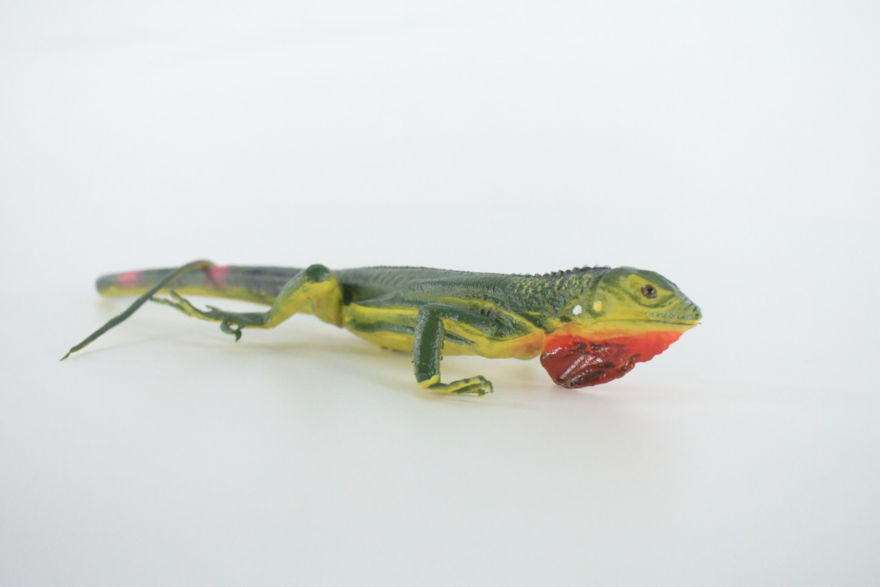 Iguana, High Quality, Hand Painted, Hard Rubber Lizard, Realistic Reptile, Toy Figure, Model, Replica, Kids, Educational, Gift,    15"    IM14 B654