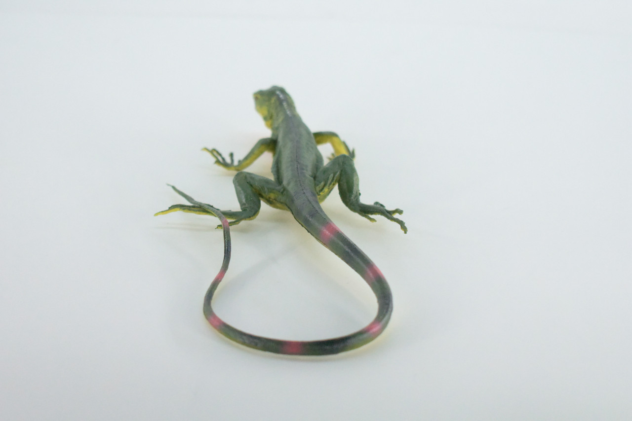 Iguana, High Quality, Hand Painted, Hard Rubber Lizard, Realistic Reptile, Toy Figure, Model, Replica, Kids, Educational, Gift,    15"    IM14 B654