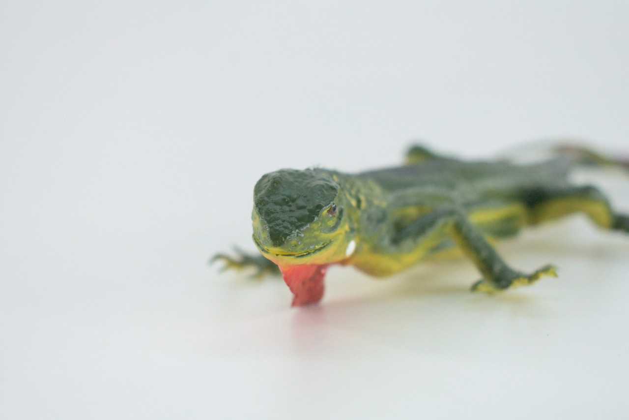 Iguana, High Quality, Hand Painted, Hard Rubber Lizard, Realistic Reptile, Toy Figure, Model, Replica, Kids, Educational, Gift,    15"    IM14 B654
