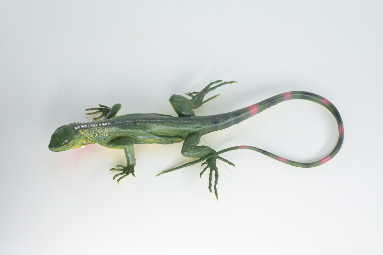 Iguana, High Quality, Hand Painted, Hard Rubber Lizard, Realistic Reptile, Toy Figure, Model, Replica, Kids, Educational, Gift,    15"    IM14 B654