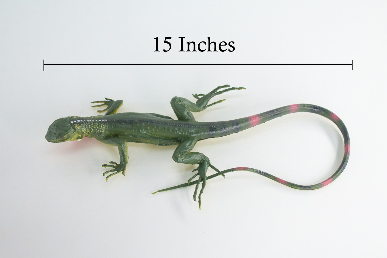 Iguana, High Quality, Hand Painted, Hard Rubber Lizard, Realistic Reptile, Toy Figure, Model, Replica, Kids, Educational, Gift,    15"    IM14 B654