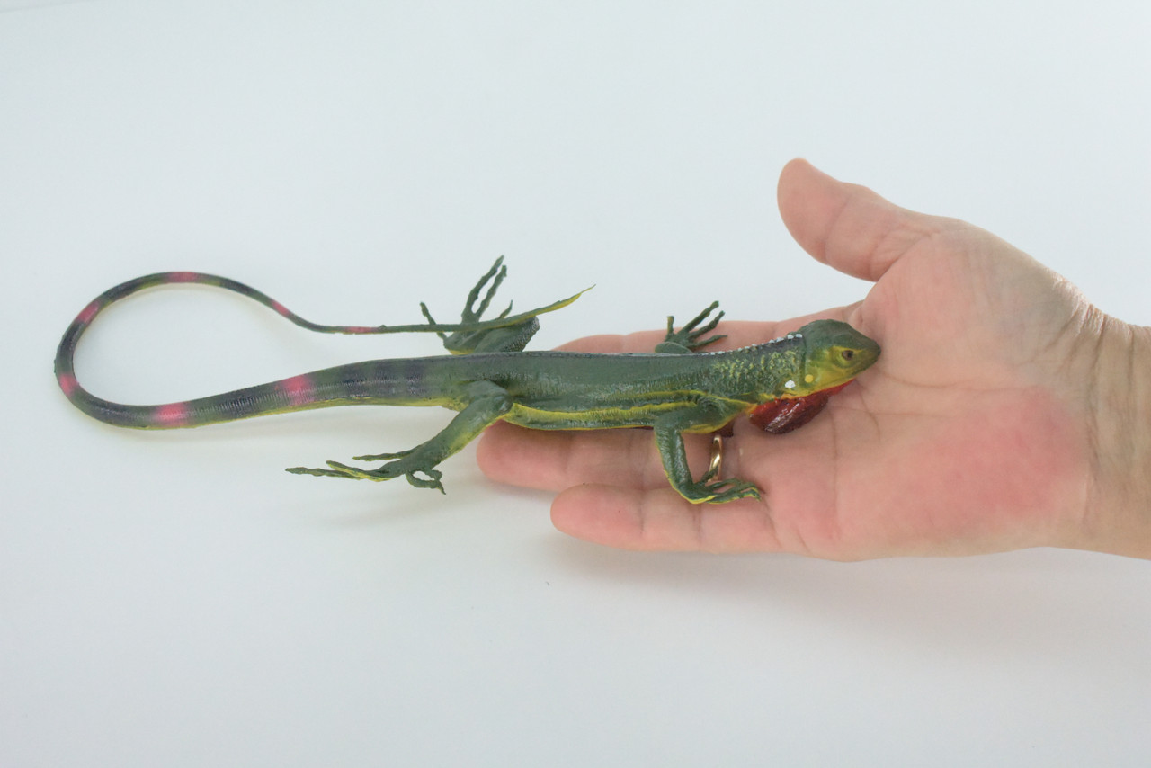 Iguana, High Quality, Hand Painted, Hard Rubber Lizard, Realistic Reptile, Toy Figure, Model, Replica, Kids, Educational, Gift,    15"    IM14 B654