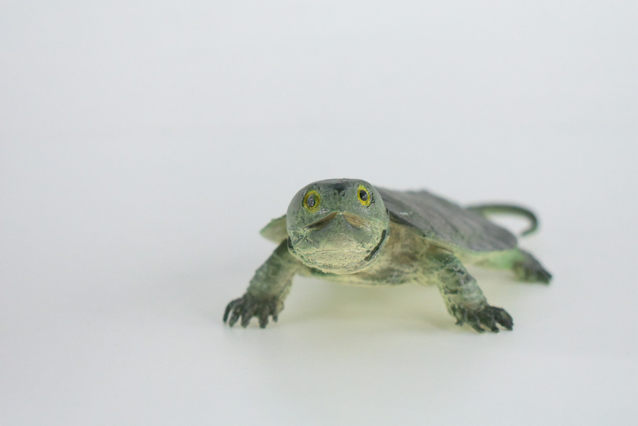 Snapping Turtle, Hand Painted, High Quality, Hard Rubber Turtle,  Realistic Reptile, Toy Figure, Model, Replica, Kids, Educational, Gift,    6"   IM15 B657