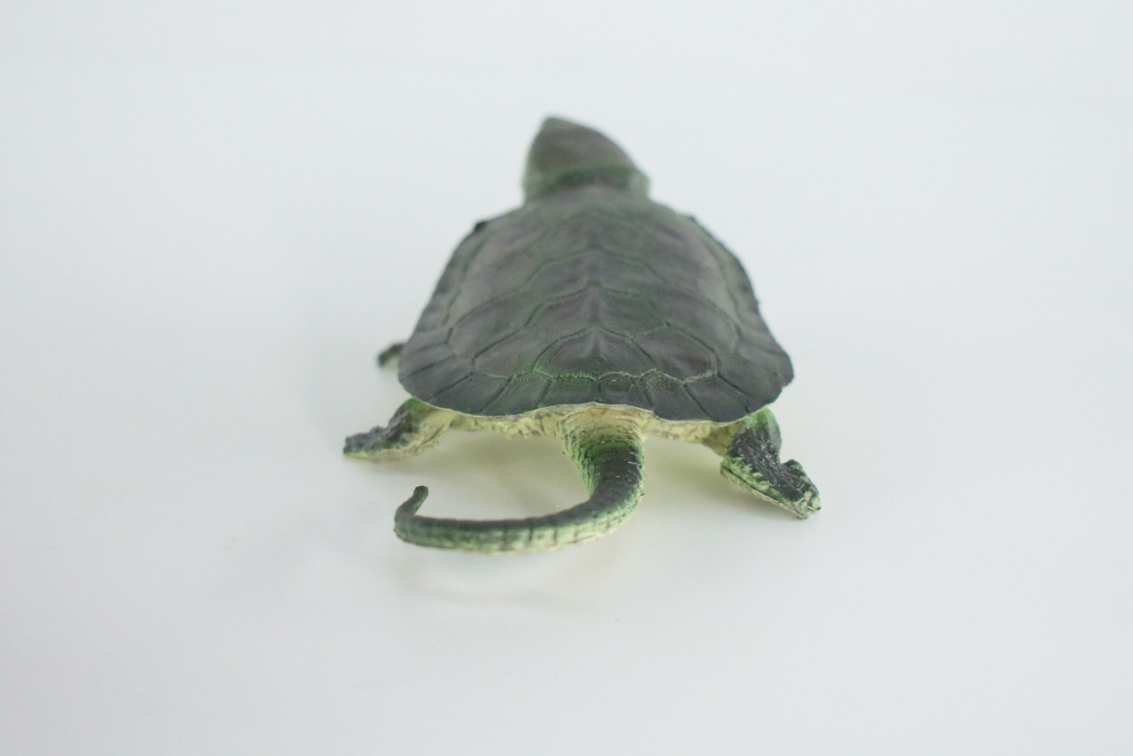 Snapping Turtle, Hand Painted, High Quality, Hard Rubber Turtle,  Realistic Reptile, Toy Figure, Model, Replica, Kids, Educational, Gift,    6"   IM15 B657