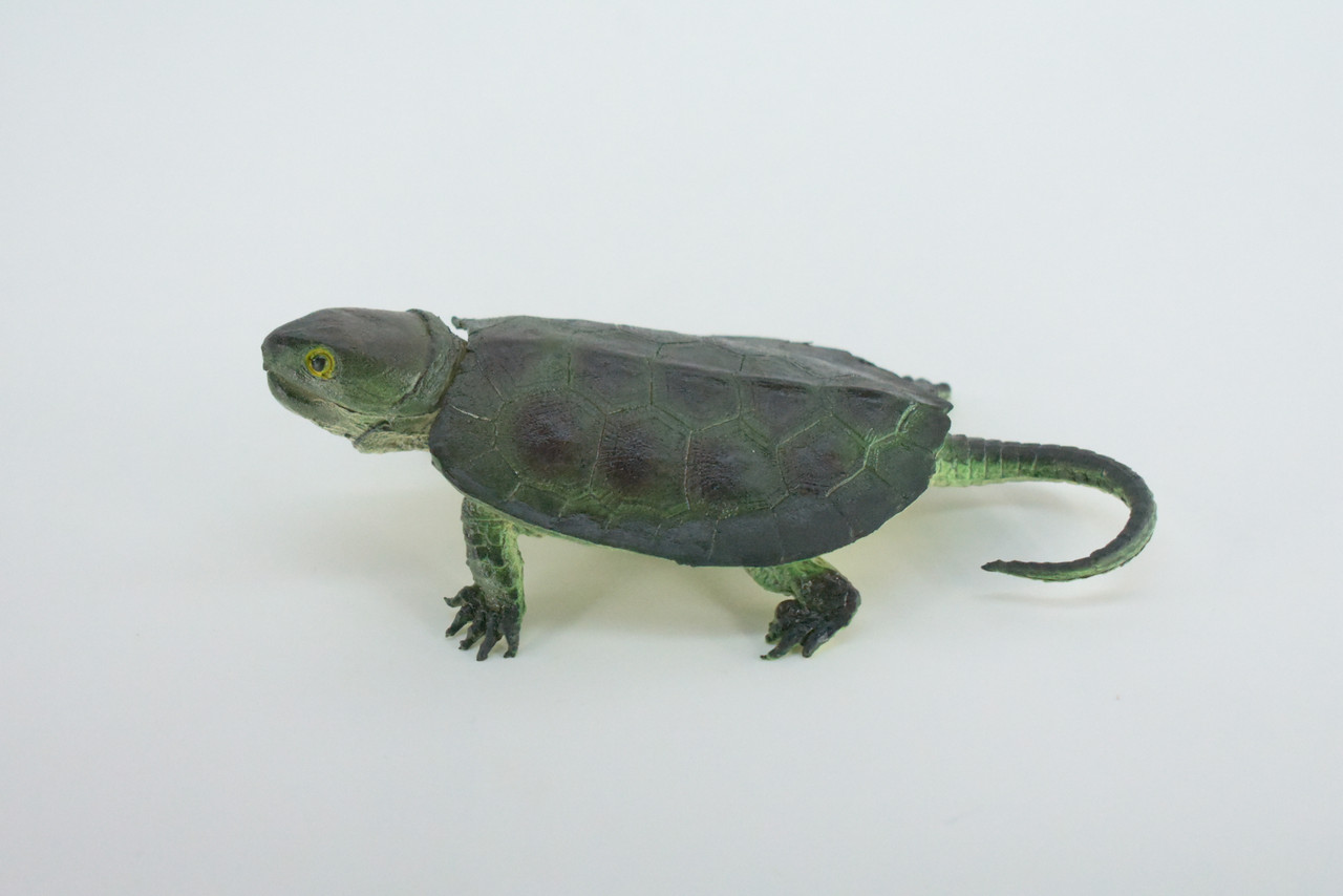 Snapping Turtle, Hand Painted, High Quality, Hard Rubber Turtle,  Realistic Reptile, Toy Figure, Model, Replica, Kids, Educational, Gift,    6"   IM15 B657