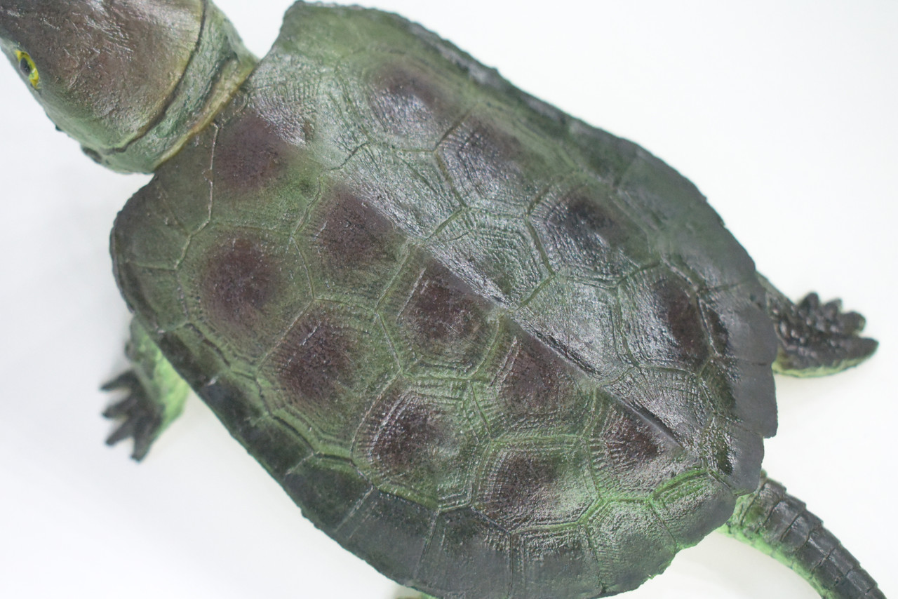 Snapping Turtle, Hand Painted, High Quality, Hard Rubber Turtle,  Realistic Reptile, Toy Figure, Model, Replica, Kids, Educational, Gift,    6"   IM15 B657