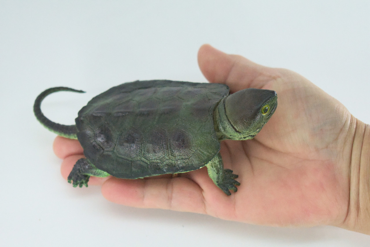 Snapping Turtle, Hand Painted, High Quality, Hard Rubber Turtle,  Realistic Reptile, Toy Figure, Model, Replica, Kids, Educational, Gift,    6"   IM15 B657